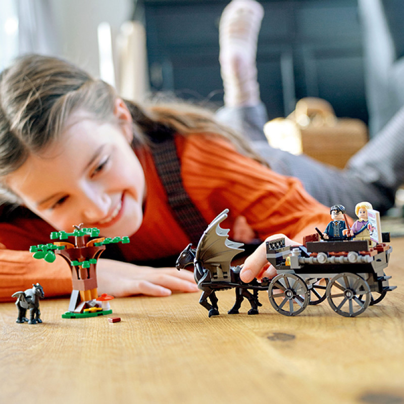 LEGO® Harry Potter™ 76400 Hogwarts™ Kutsche mit Thestralen